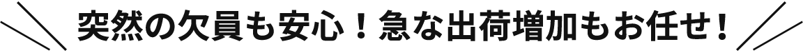 突然の欠員も安心！急な出荷増加もお任せ！